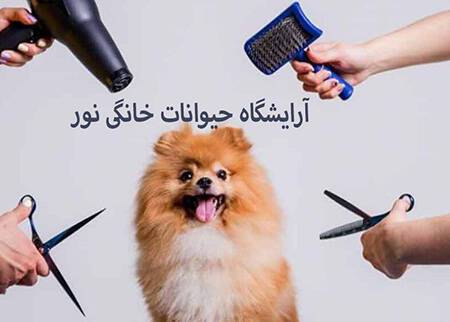 آرایشگاه حیوانات خانگی نور